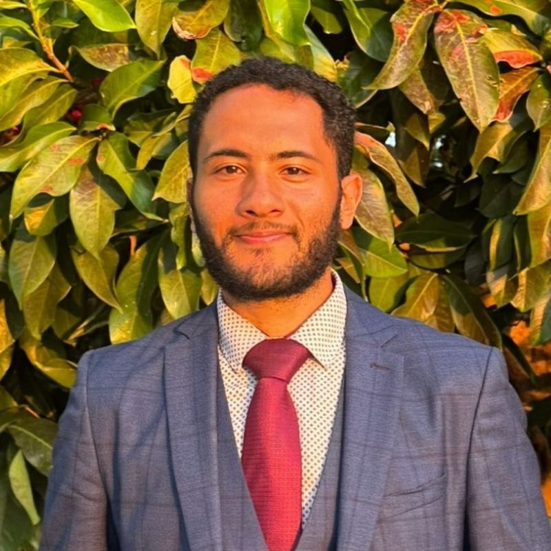 Henrique Gomes Guimarães